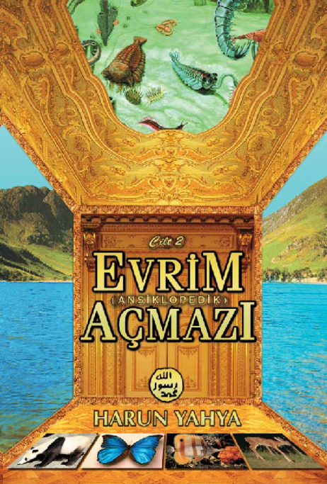 Evrim Açmazı - 2
